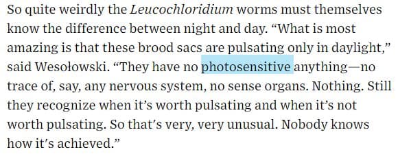 Quoted tweet image 1