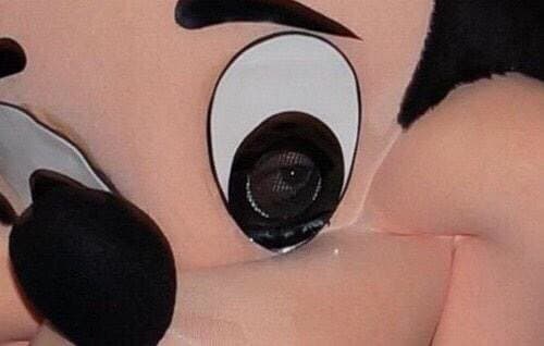 Quoted tweet image 1