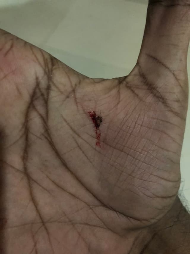 Quoted tweet image 1