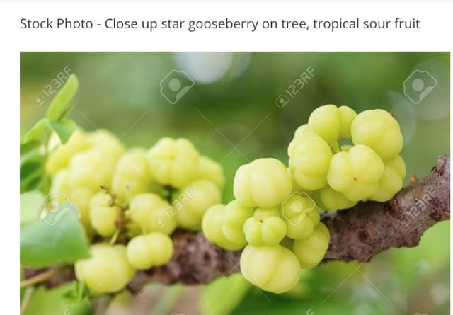 Quoted tweet image 1