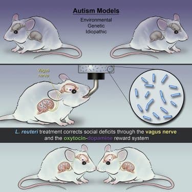 Quoted tweet image 1