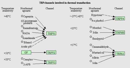 Quoted tweet image 1