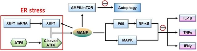 Quoted tweet image 1