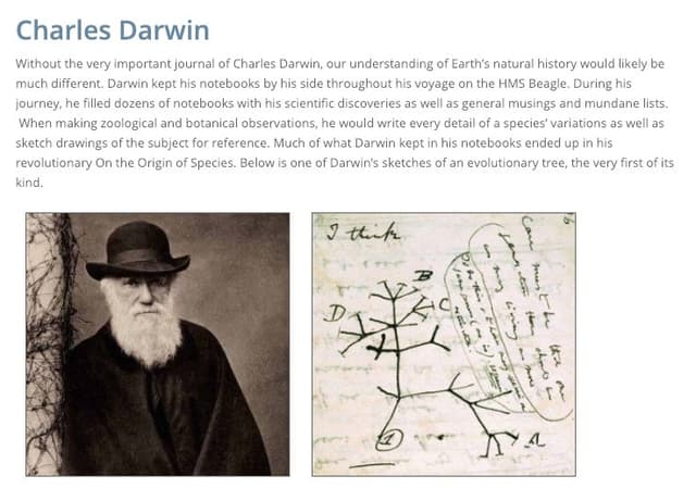 Quoted tweet image 4