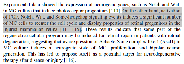 Quoted tweet image 1