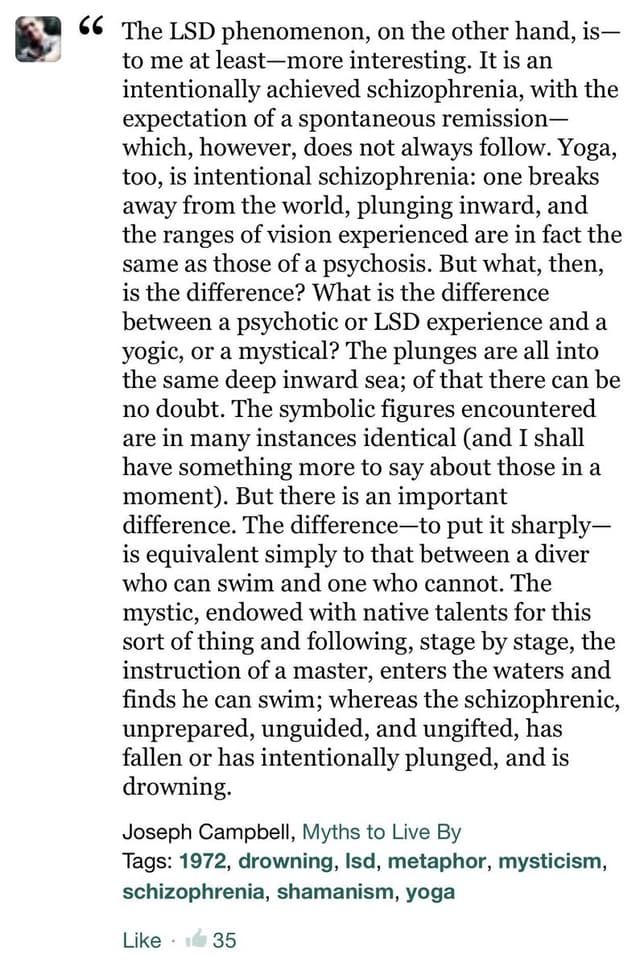 Quoted tweet image 1