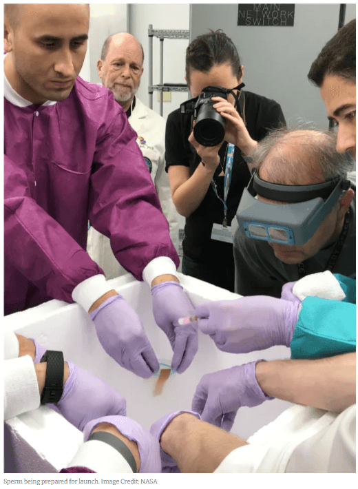 Quoted tweet image 1