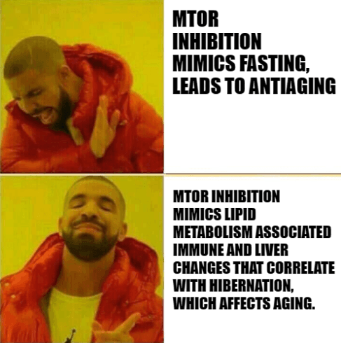 Quoted tweet image 1