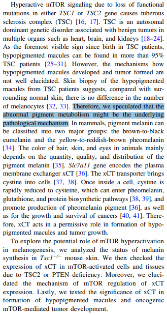 Quoted tweet image 1