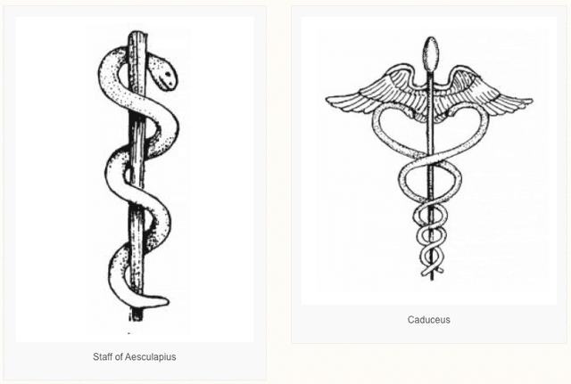 Quoted tweet image 1