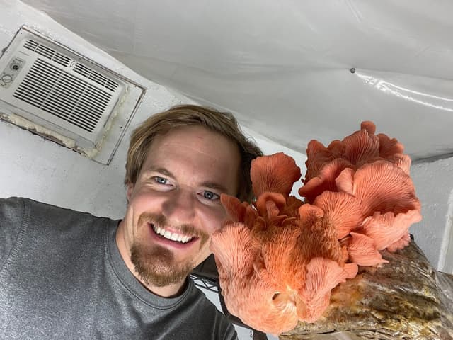 Quoted tweet image 3