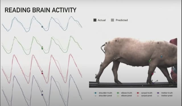 Quoted tweet image 3