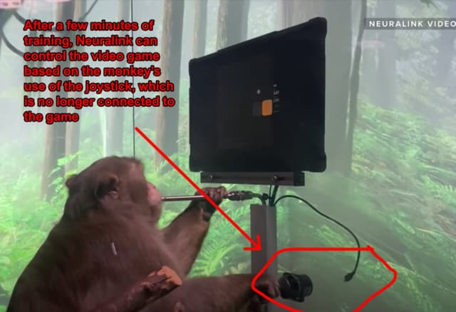 Quoted tweet image 4