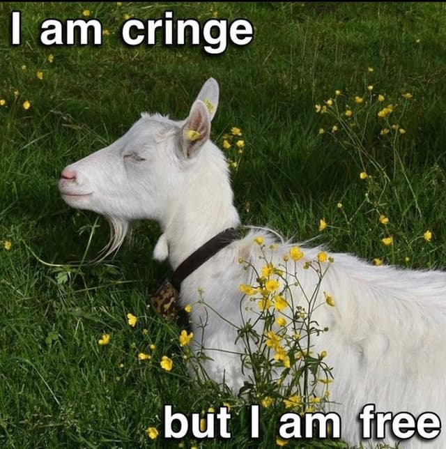 Quoted tweet image 1