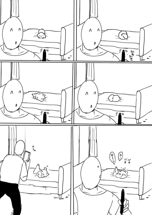 Quoted tweet image 3