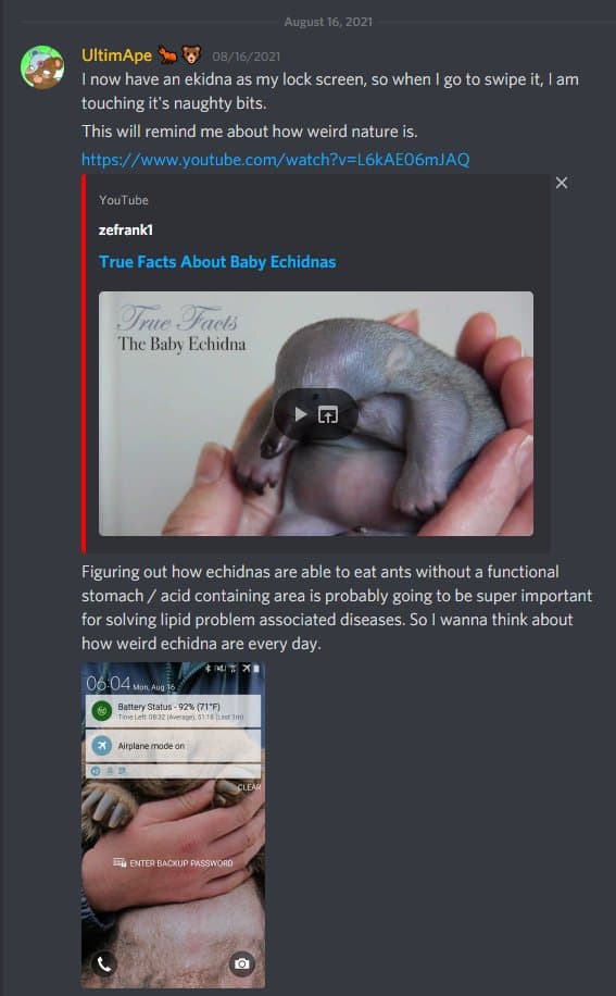 Quoted tweet image 3