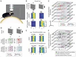 Quoted tweet image 1