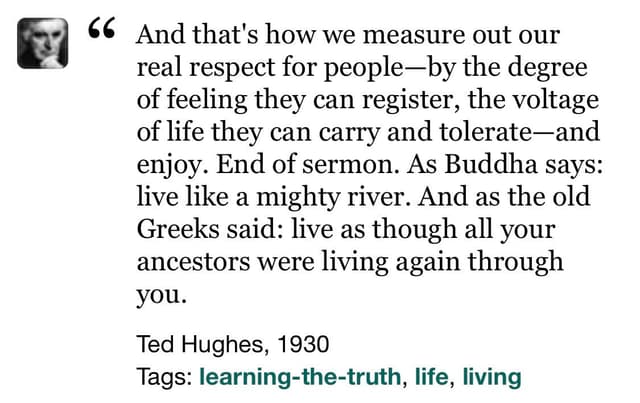 Quoted tweet image 1