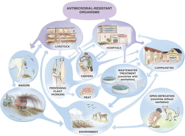 Quoted tweet image 1