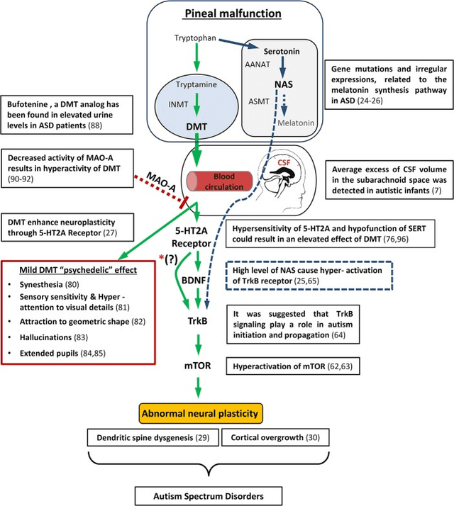 Quoted tweet image 1