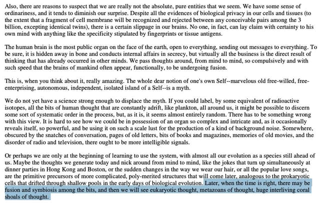 Quoted tweet image 1