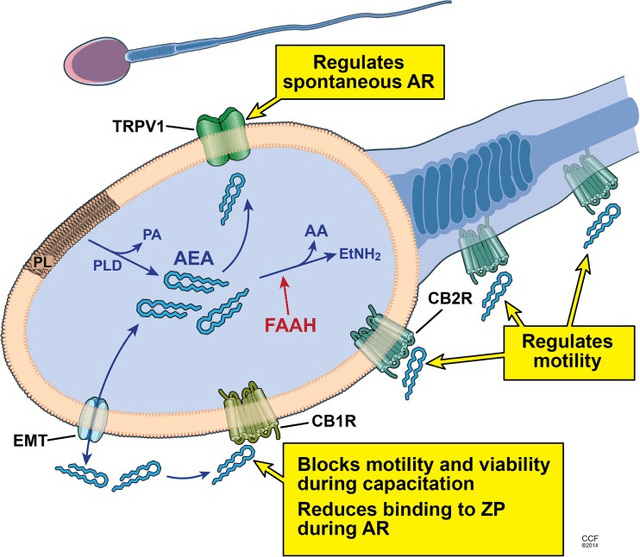 Quoted tweet image 1