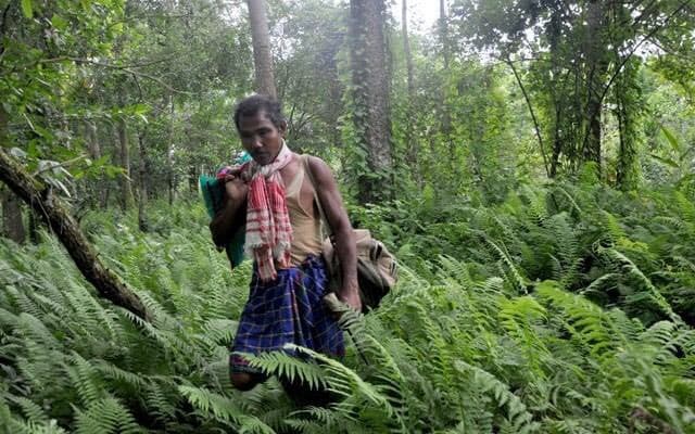 Quoted tweet image 2