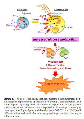 Quoted tweet image 1