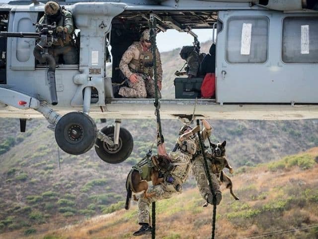 Quoted tweet image 1