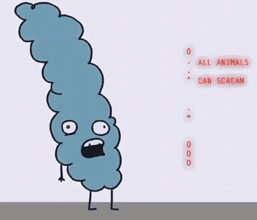 Quoted tweet image 1