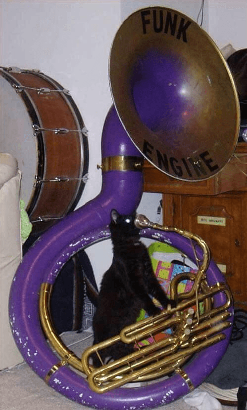 Quoted tweet image 1