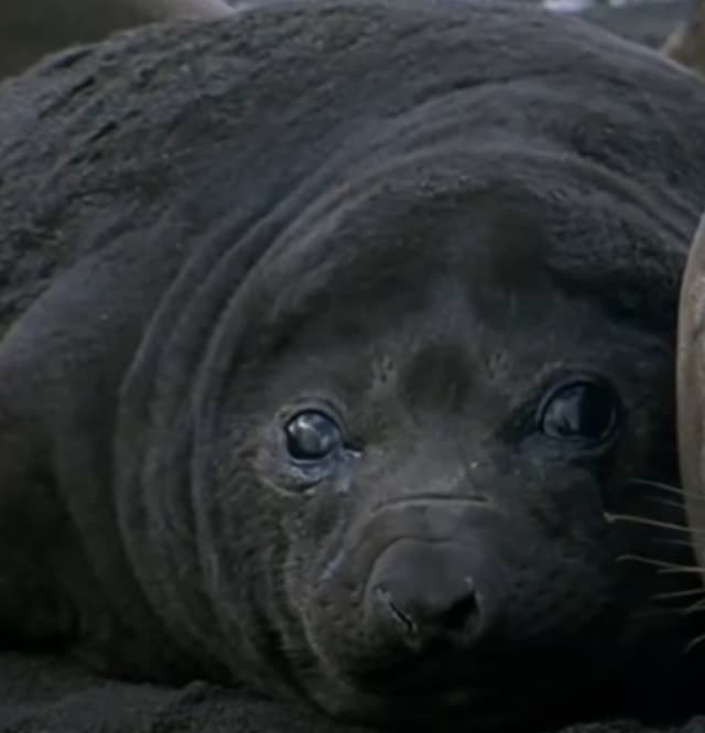 Quoted tweet image 1