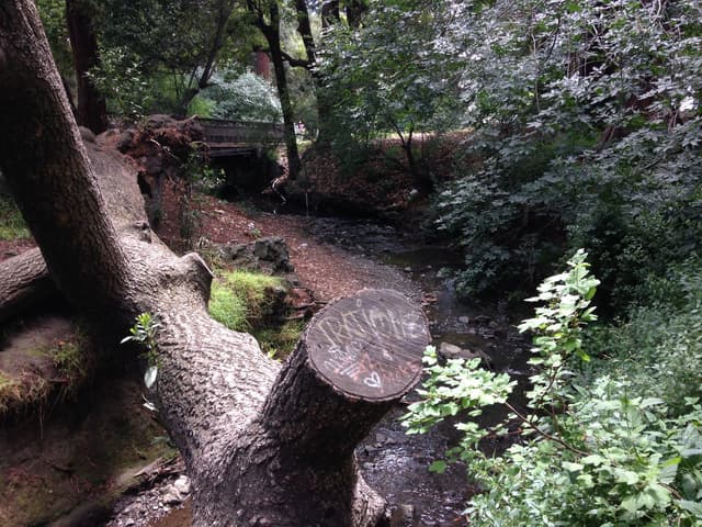 Quoted tweet image 1