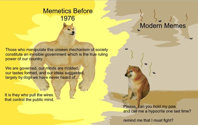 Quoted tweet image 1