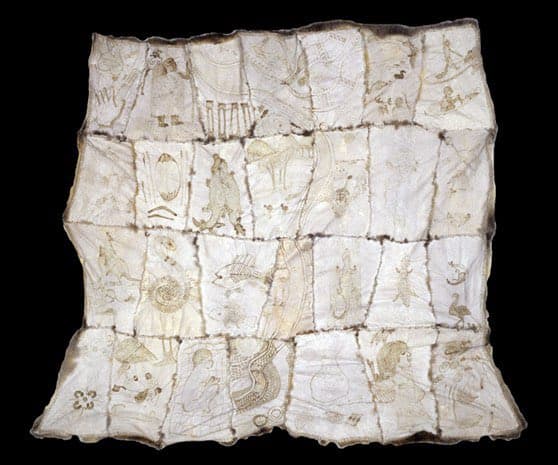 Quoted tweet image 1