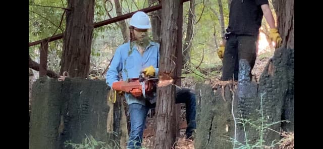 Quoted tweet image 1