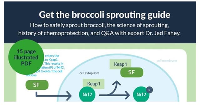 Quoted tweet image 1