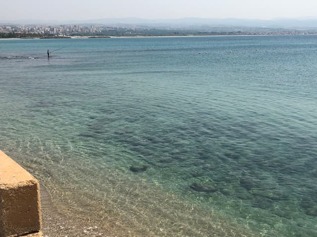 Quoted tweet image 3