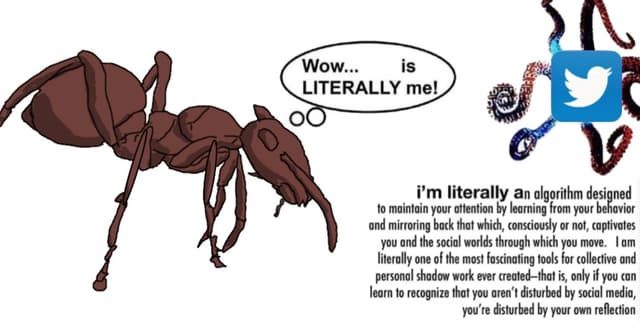 Quoted tweet image 1