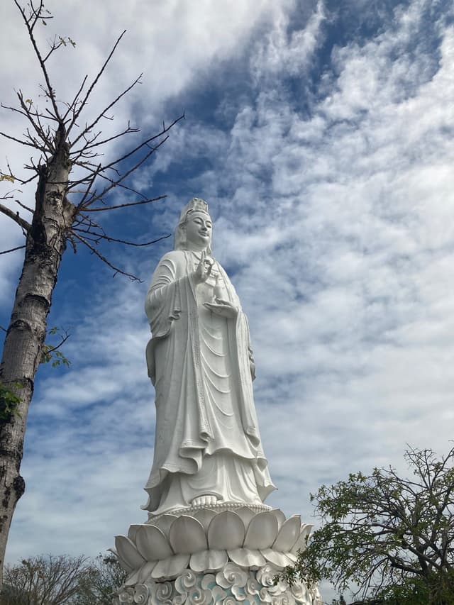 Quoted tweet image 1