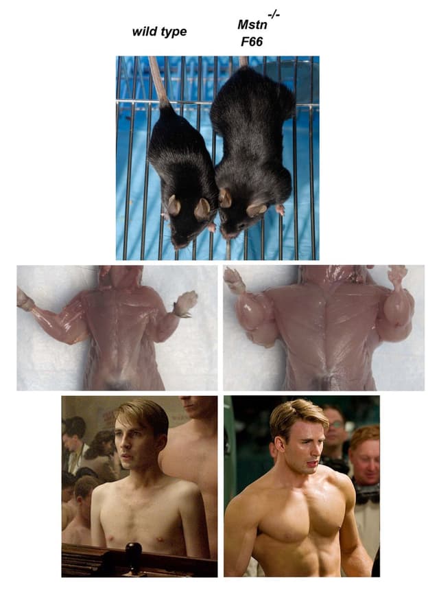 Quoted tweet image 1