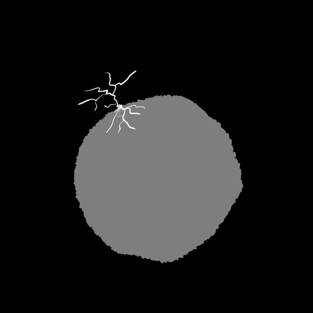 Quoted tweet image 1