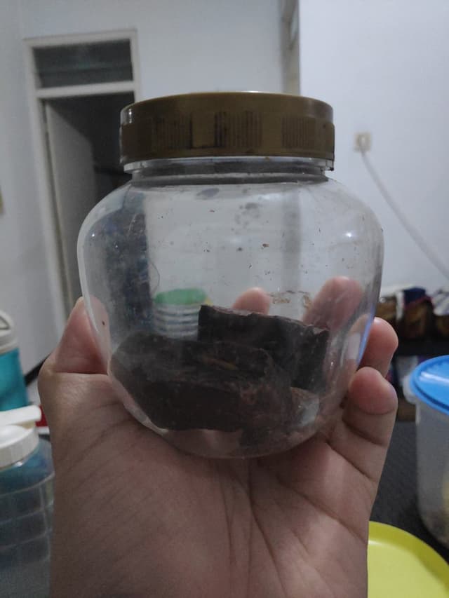 Quoted tweet image 1