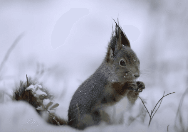 Quoted tweet image 1