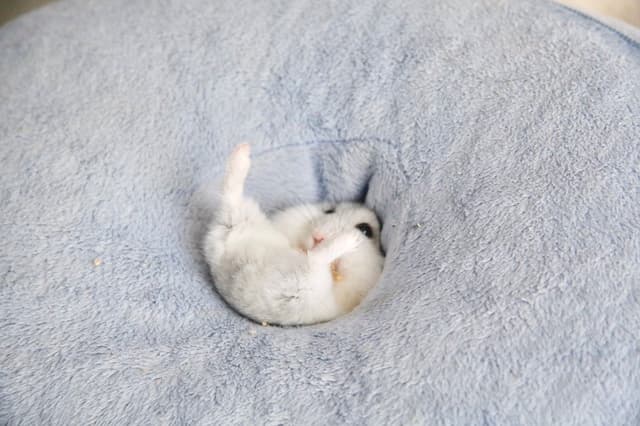 Quoted tweet image 3