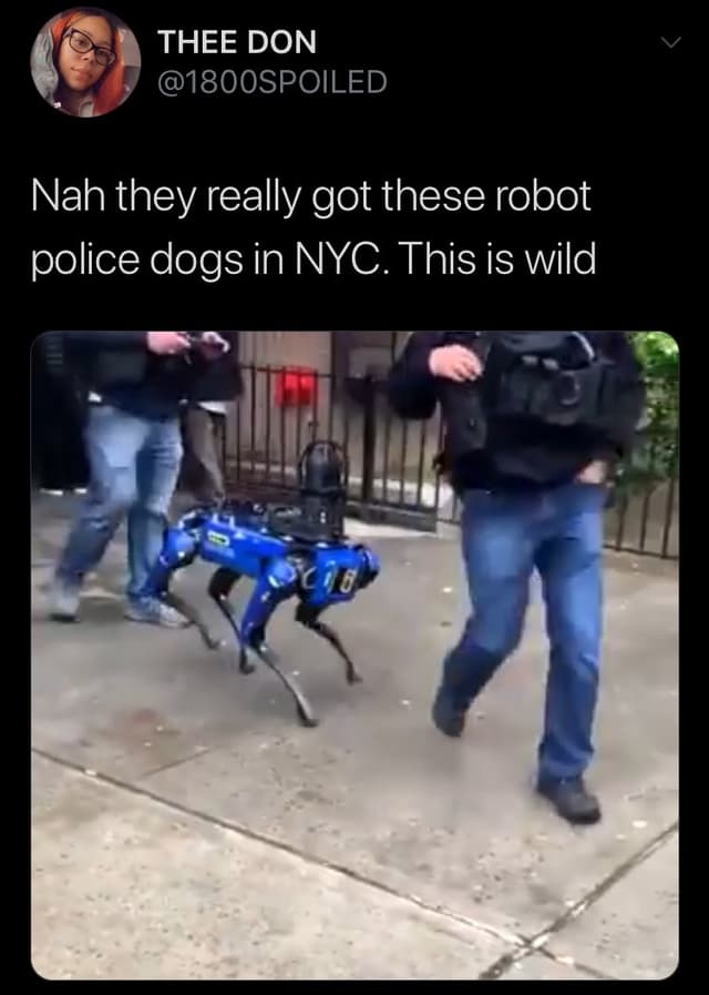 Quoted tweet image 1