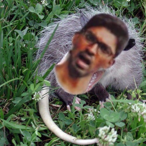 Quoted tweet image 1