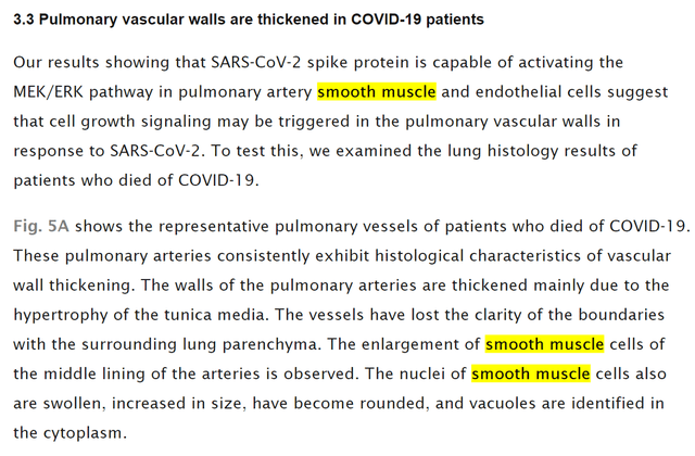 Quoted tweet image 1