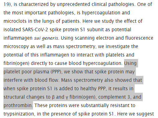 Quoted tweet image 1