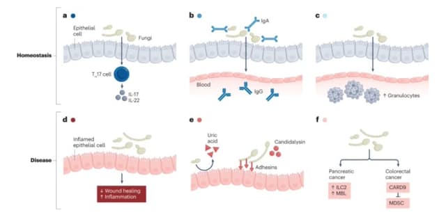 Quoted tweet image 1